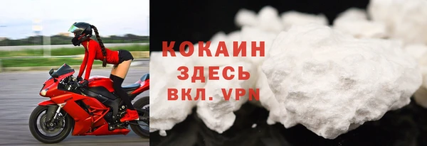 гидра Магас