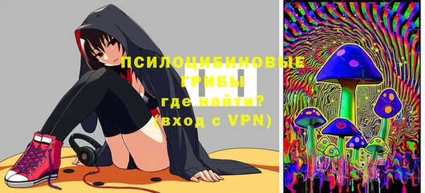 гидра Магас