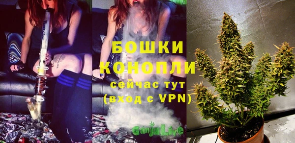 гидра Магас