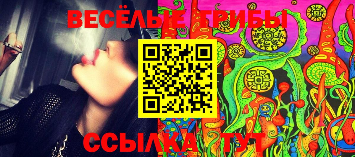 Псилоцибиновые грибы ЛСД Сосновоборск
