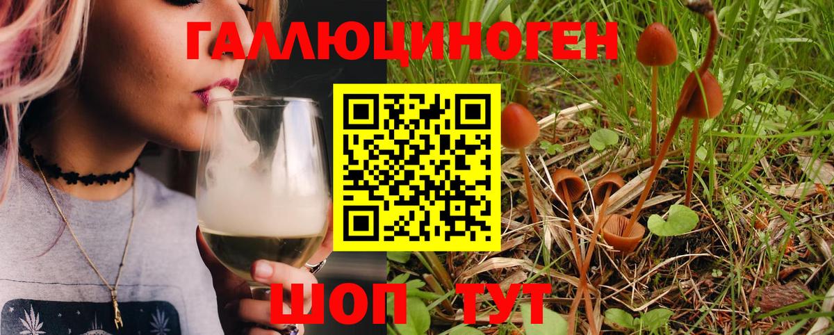 Галлюциногенные грибы Magic Shrooms Сосновоборск