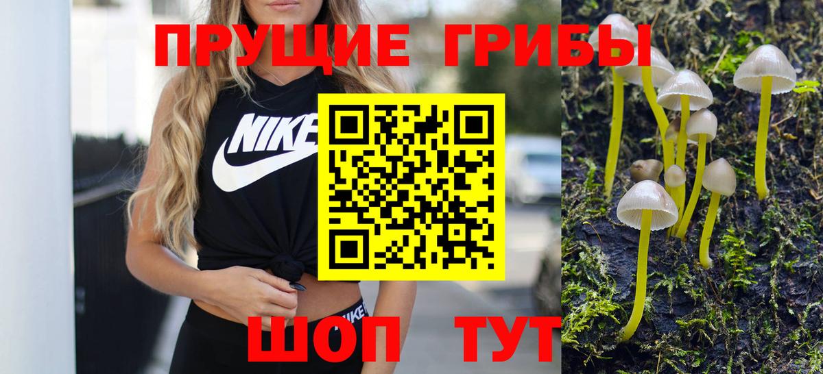 Сосновоборск  Галлюциногенные грибы MAGIC MUSHROOMS  Псилоцибиновые грибы Magic Shrooms  где продают   Вход с VPN 